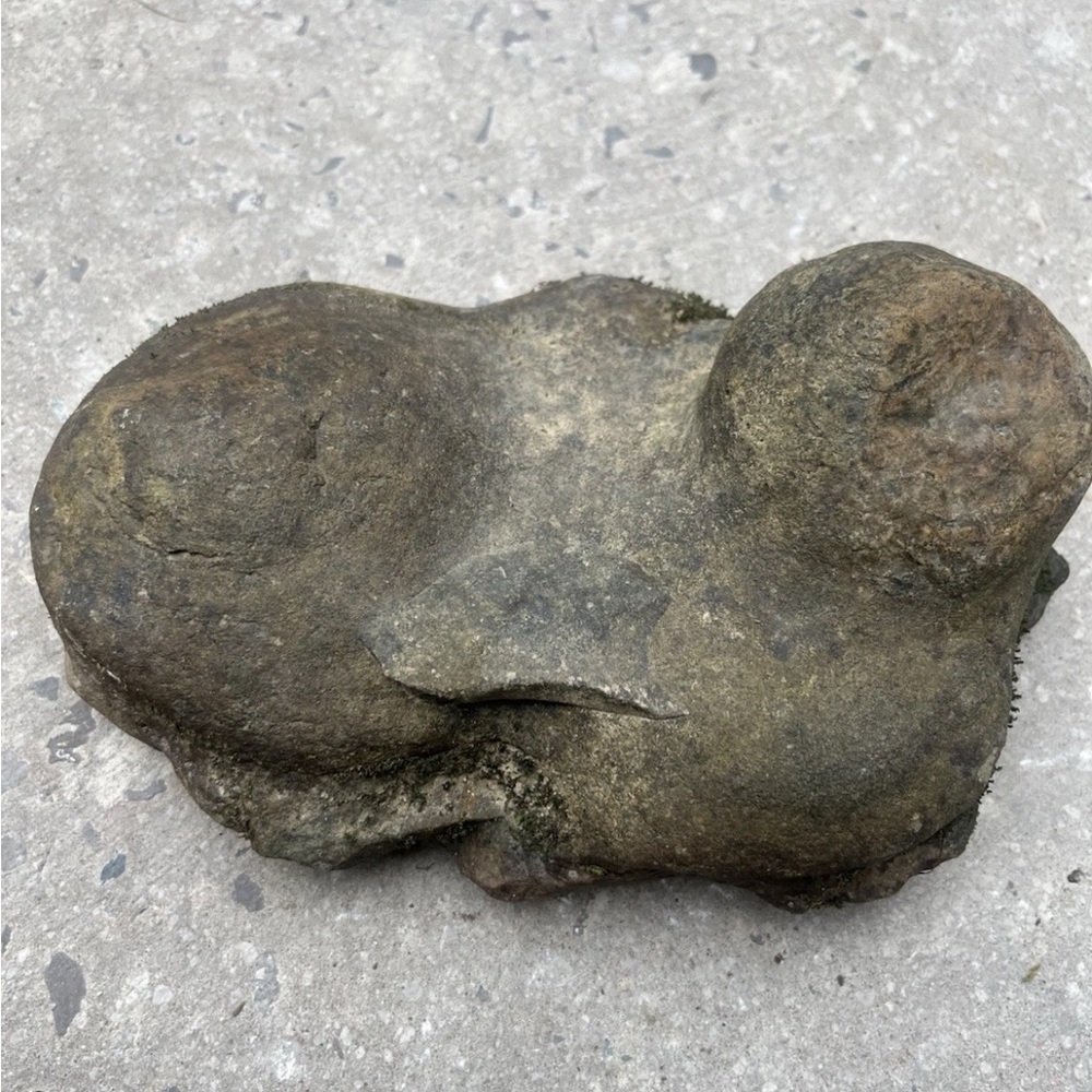 Natural Limestone Rock With Concretions  Picked From Natural Creekbed Offgrid TN